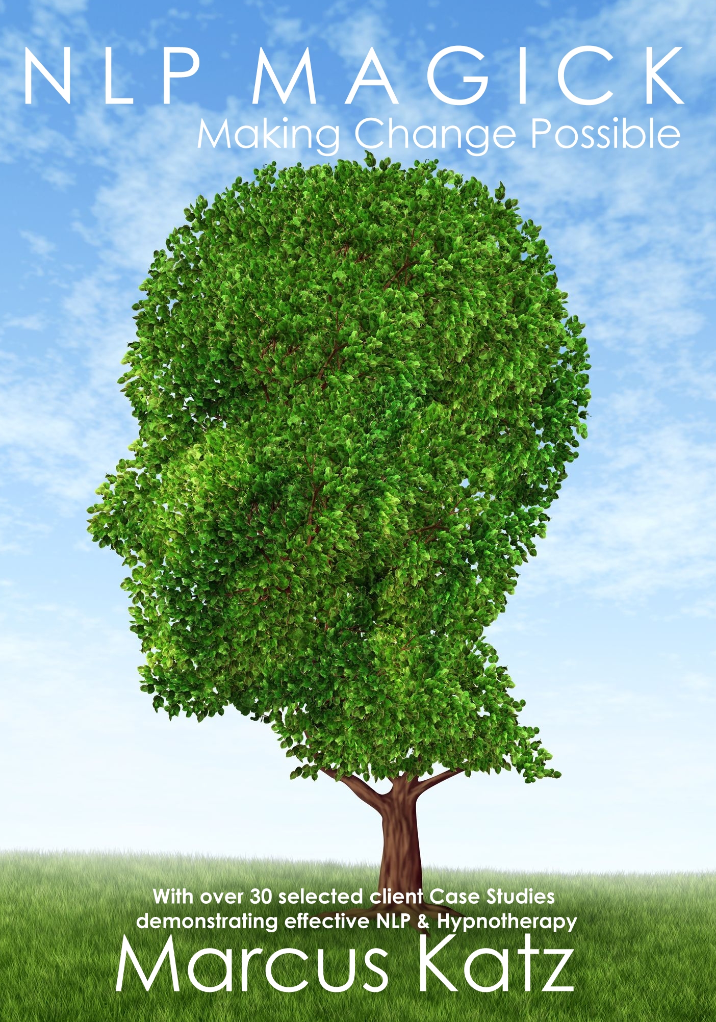 NLP MAGICK BOOK NLP Magick